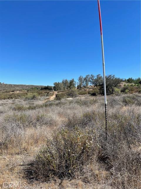 Hemet, CA 92544,20 Stier ST