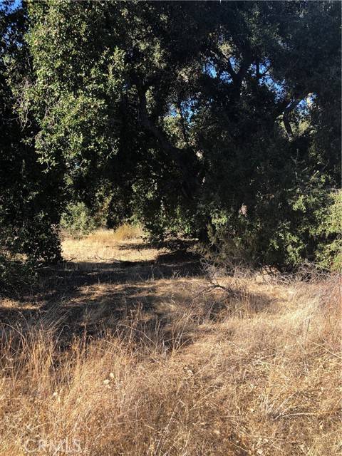 Hemet, CA 92544,4 Red Mountain RD