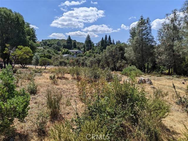 Kelseyville, CA 95451,9709 Tenaya WAY