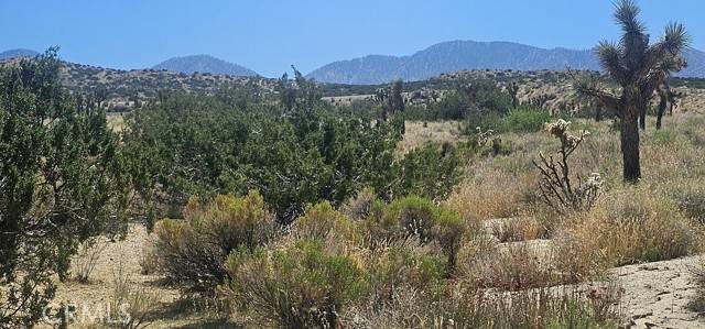 Pearblossom, CA 93553,0 Avenue X / 136th St E