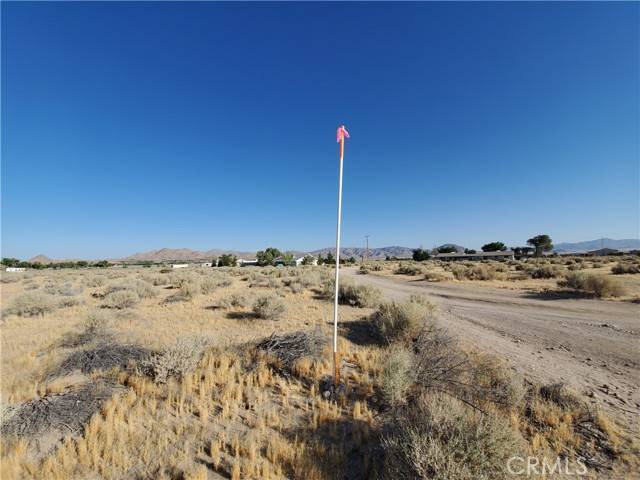 Lucerne Valley, CA 92356,10600 Oracle RD