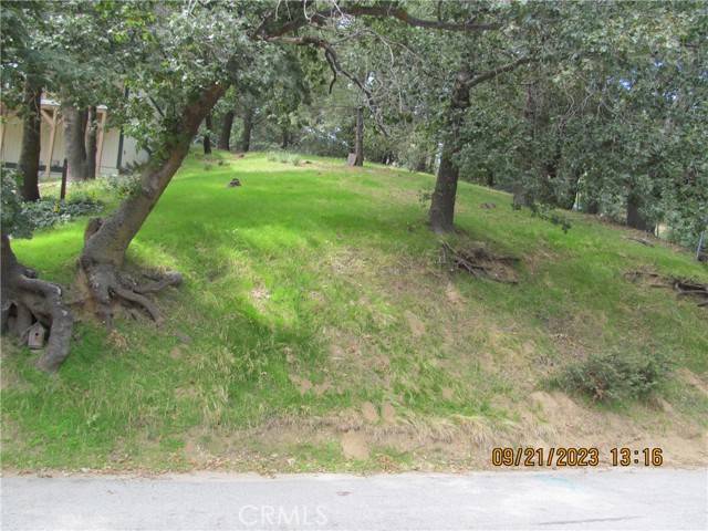 Crestline, CA 92325,0 Edelweiss DR