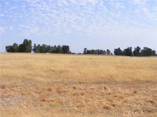 Corning, CA 96021,0 Rowland LN