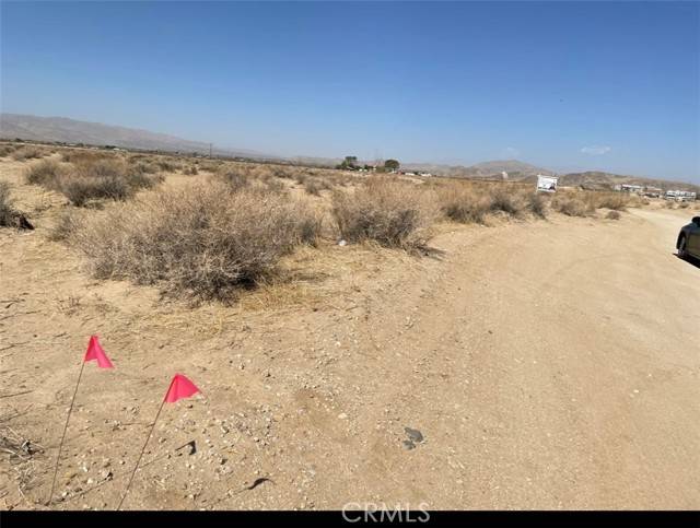 Joshua Tree, CA 92252,0 Reagan RD
