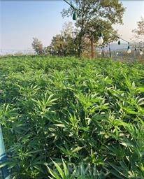 Middletown, CA 95461,9185 Gray RD