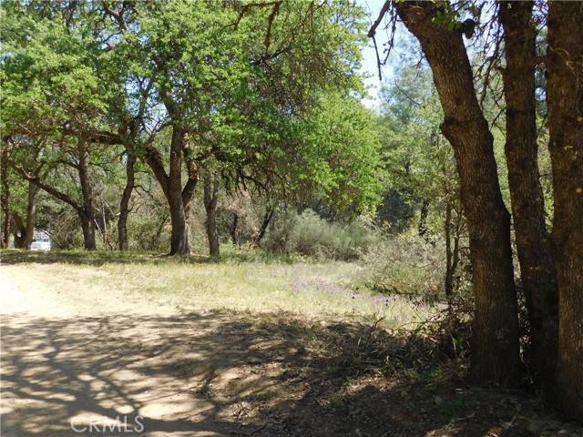 Clearlake, CA 95422,15773 39th AVE