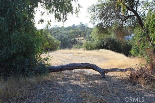 Coarsegold, CA 93614,45945 Hawk LN