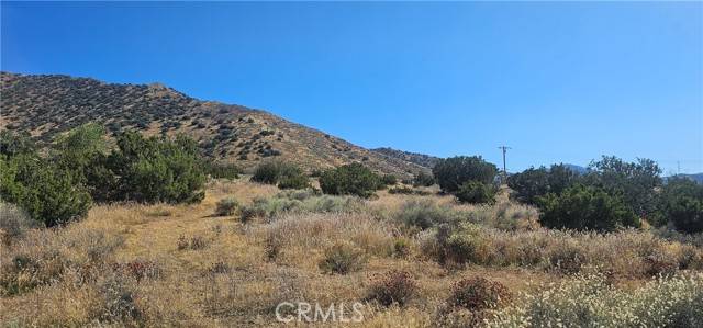 Acton, CA 93510,0 Soledad Pass RD