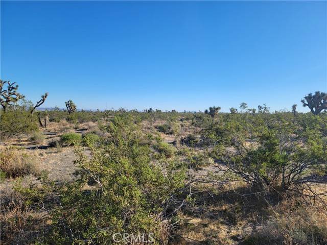 Pinon Hills, CA 92372,0 Buckwheat RD