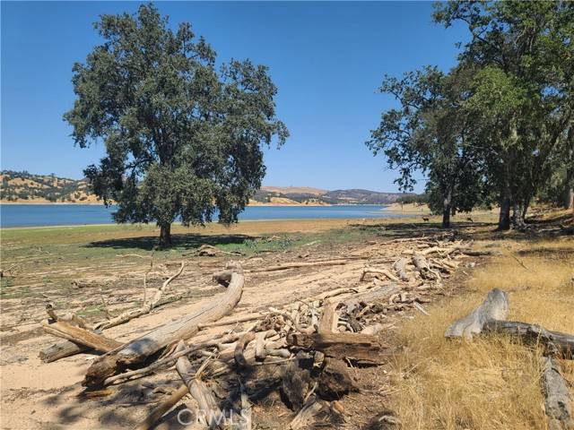 Paso Robles, CA 93446,10 Allen RD