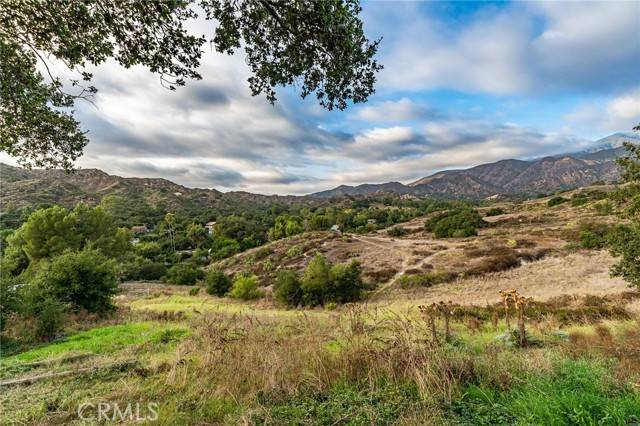 Trabuco Canyon, CA 92679,31181 Mountain View RD