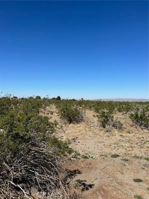 Pinon Hills, CA 92372,0 Blanco