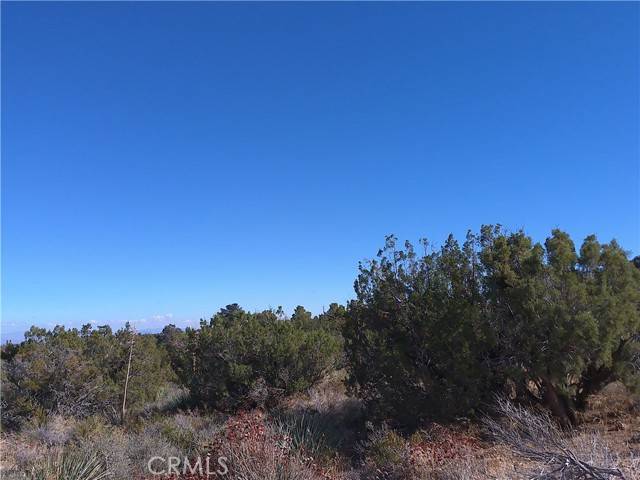 Pinon Hills, CA 92372,9889 Crystalaire RD