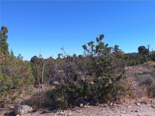 Pinon Hills, CA 92372,9889 Crystalaire RD