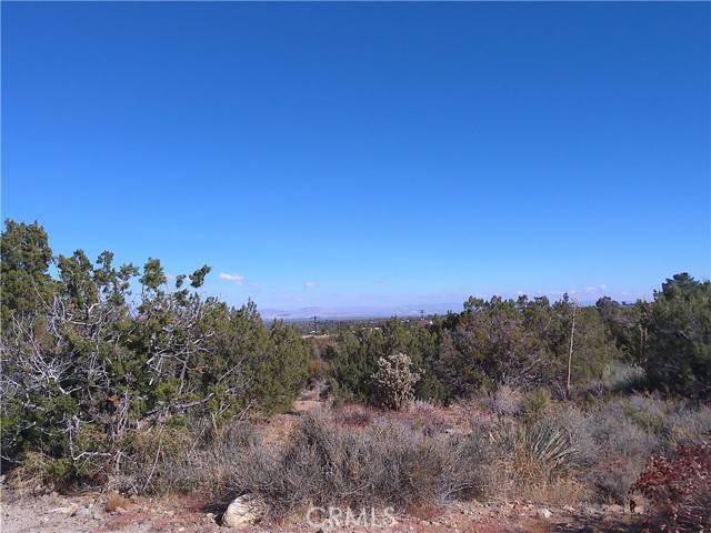 Pinon Hills, CA 92372,9889 Crystalaire RD