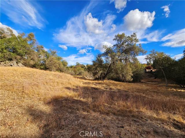Coarsegold, CA 93614,46 Lot Ranger Circle DR