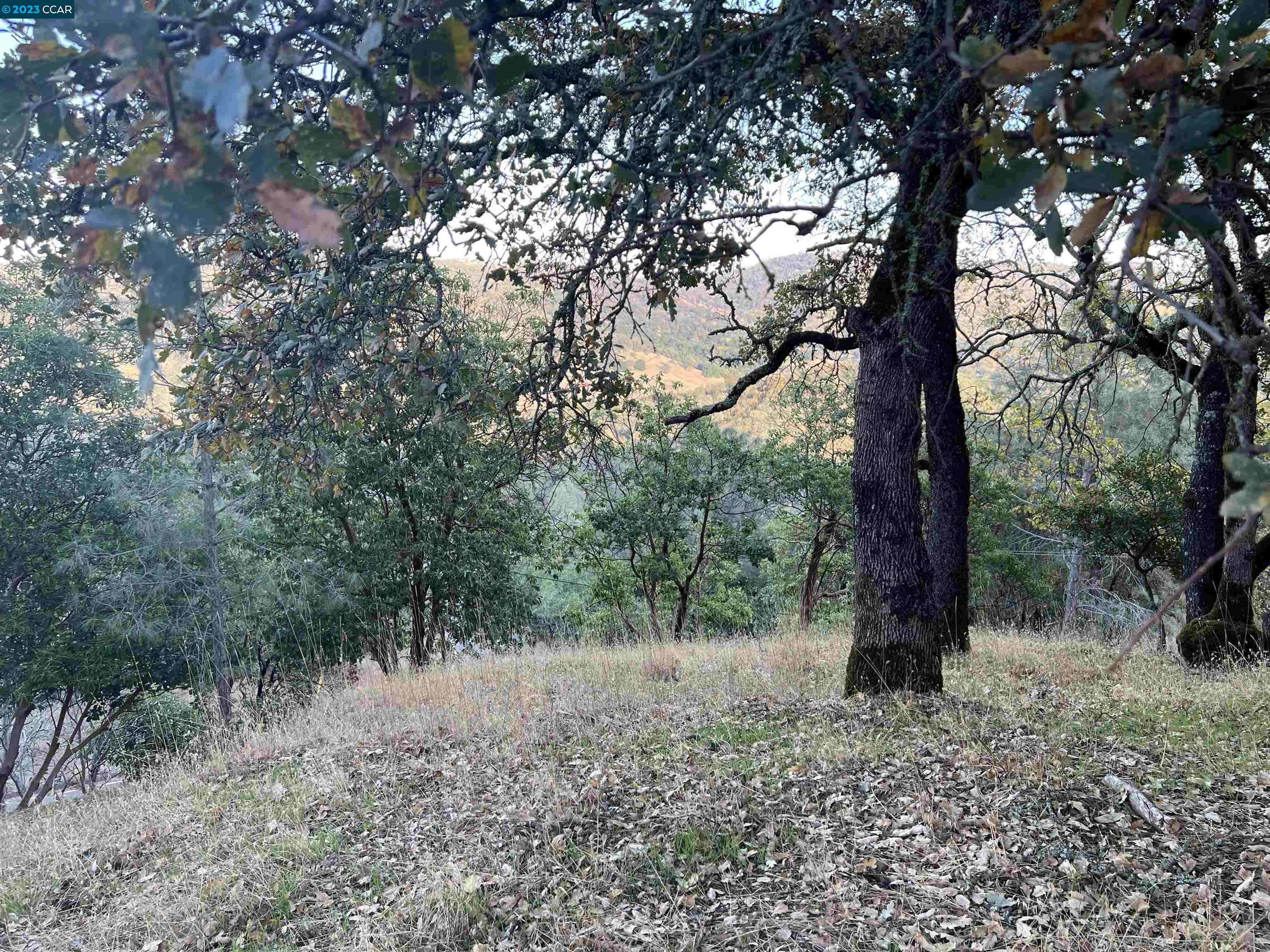 Napa, CA 94558,196 Country Club LN