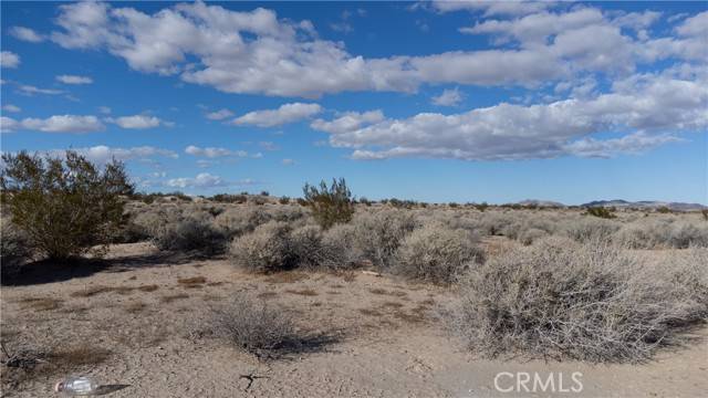 Newberry Springs, CA 92365,0 no address available