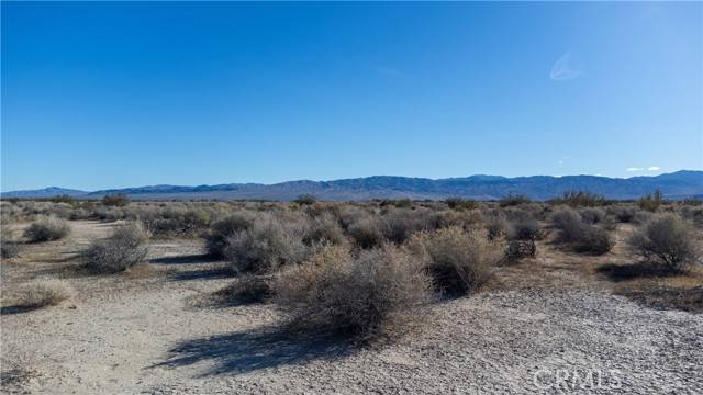 Newberry Springs, CA 92365,0 no address available