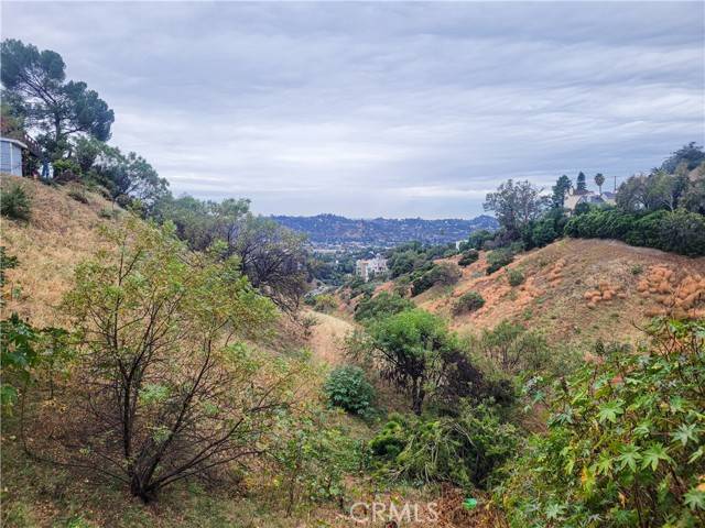 Los Angeles, CA 90065,3829 Cazador ST