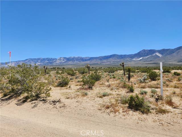 Lucerne Valley, CA 92356,2 AC Foothill RD