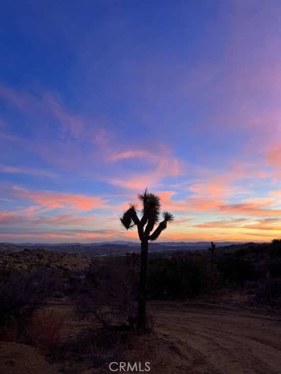 Yucca Valley, CA 92284,0 Powerline Rd