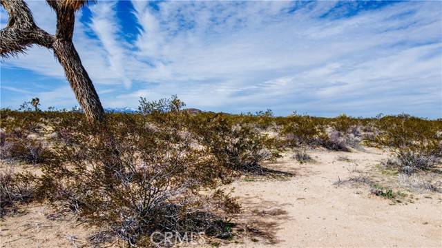 Yucca Valley, CA 92285,0 Starlight ST