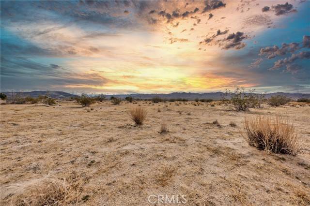 Joshua Tree, CA 92252,123 Walpi DR