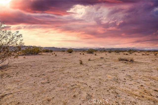 Joshua Tree, CA 92252,123 Walpi DR