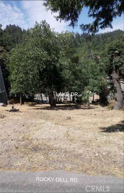 Crestline, CA 92325,0 Lake DR