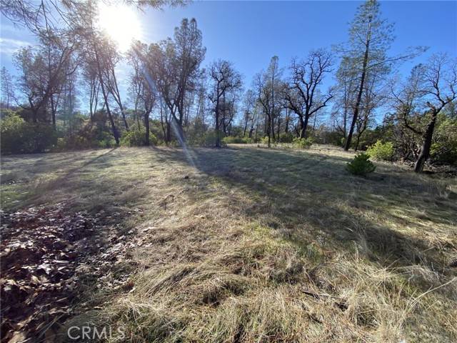 Corning, CA 96021,15785 Placer CT