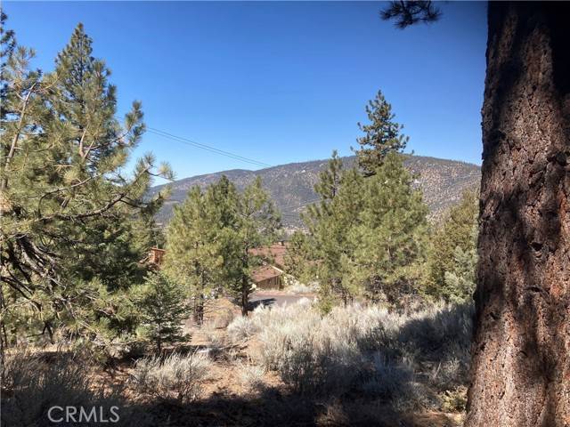 CA 93222,15125 Chestnut DR