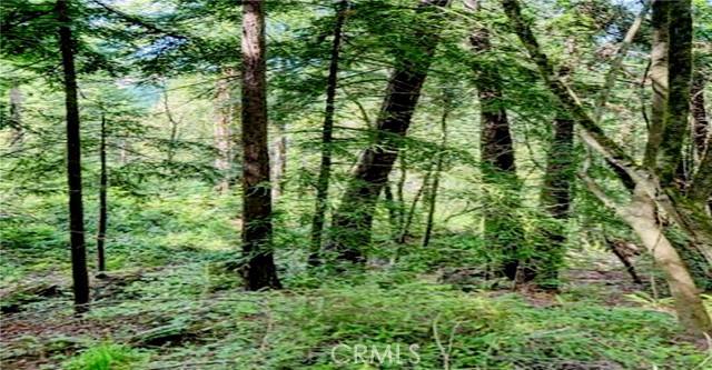 Guerneville, CA 95446,18176 HWY 116