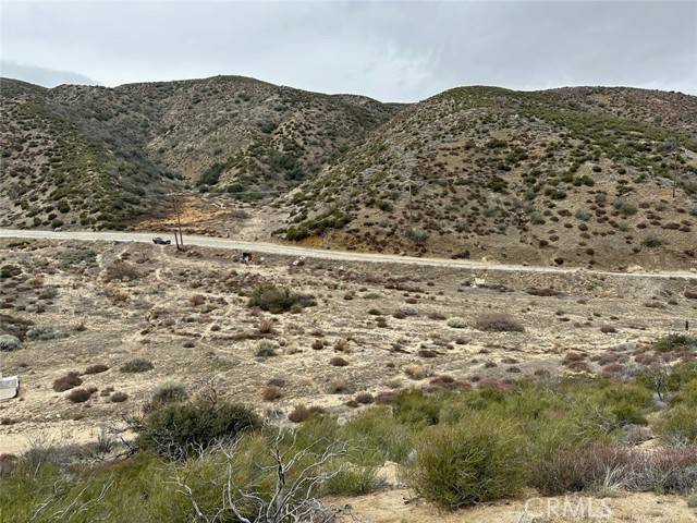 Leona Valley, CA 93551,0 Vac/Munz Ranch Rd/Vic Kern Wat