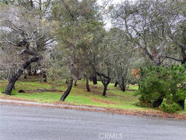 Cambria, CA 93428,0 Kenneth