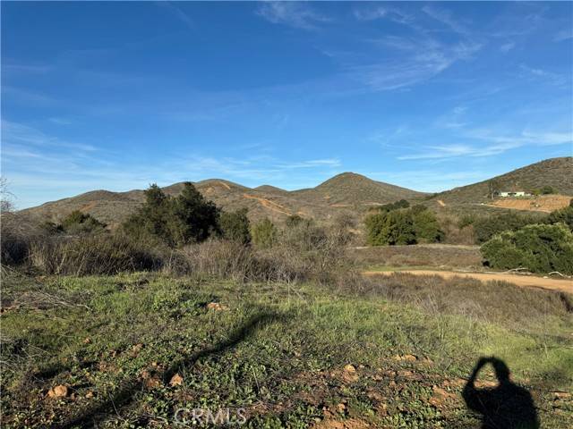 Menifee, CA 92584,15 Orange