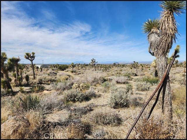 Pinon Hills, CA 92372,0 Rancho RD