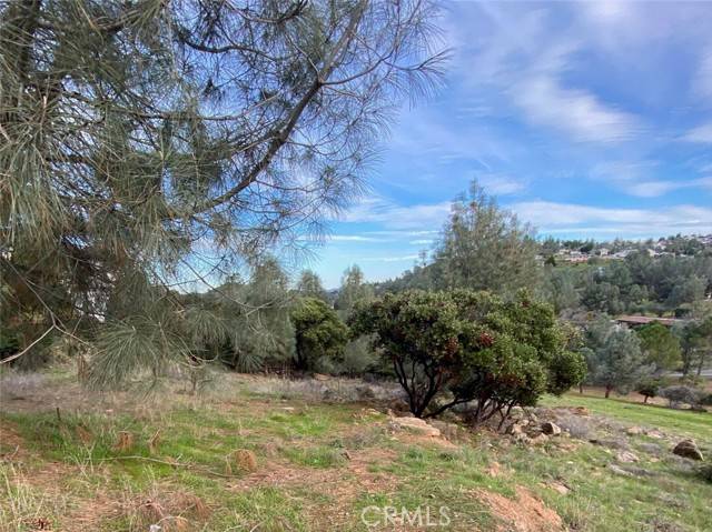 Kelseyville, CA 95451,9672 Fairway DR