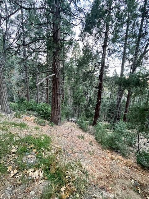 Cedarpines Park, CA 92322,0 Mojave River RD