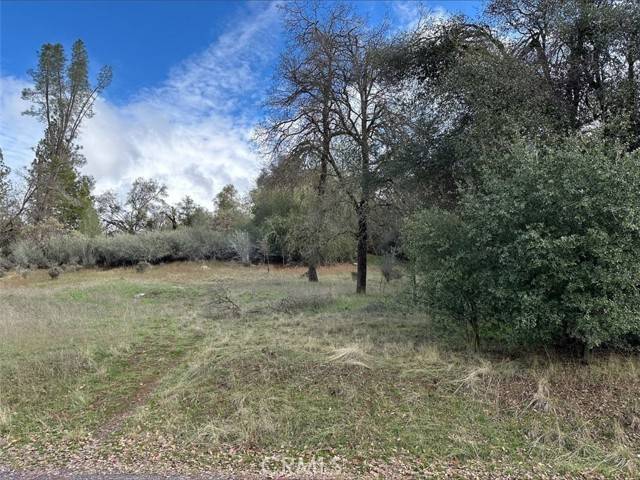 Coarsegold, CA 93614,0 2.01 AC Deer Path CIR