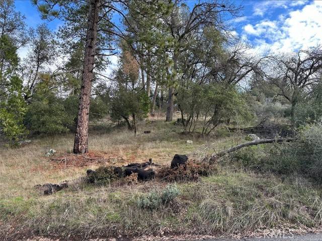 Coarsegold, CA 93614,0 2.01 AC Deer Path CIR