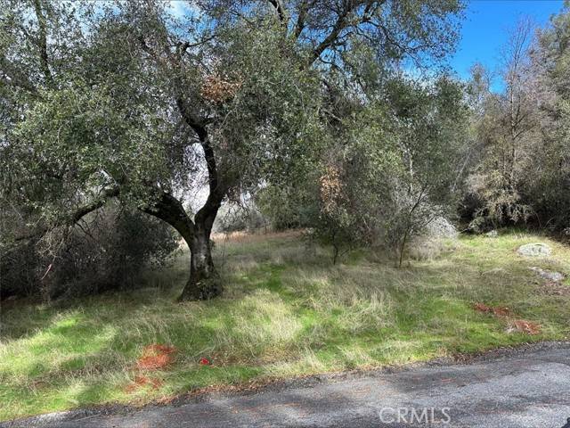 Coarsegold, CA 93614,0 2.01 AC Deer Path CIR