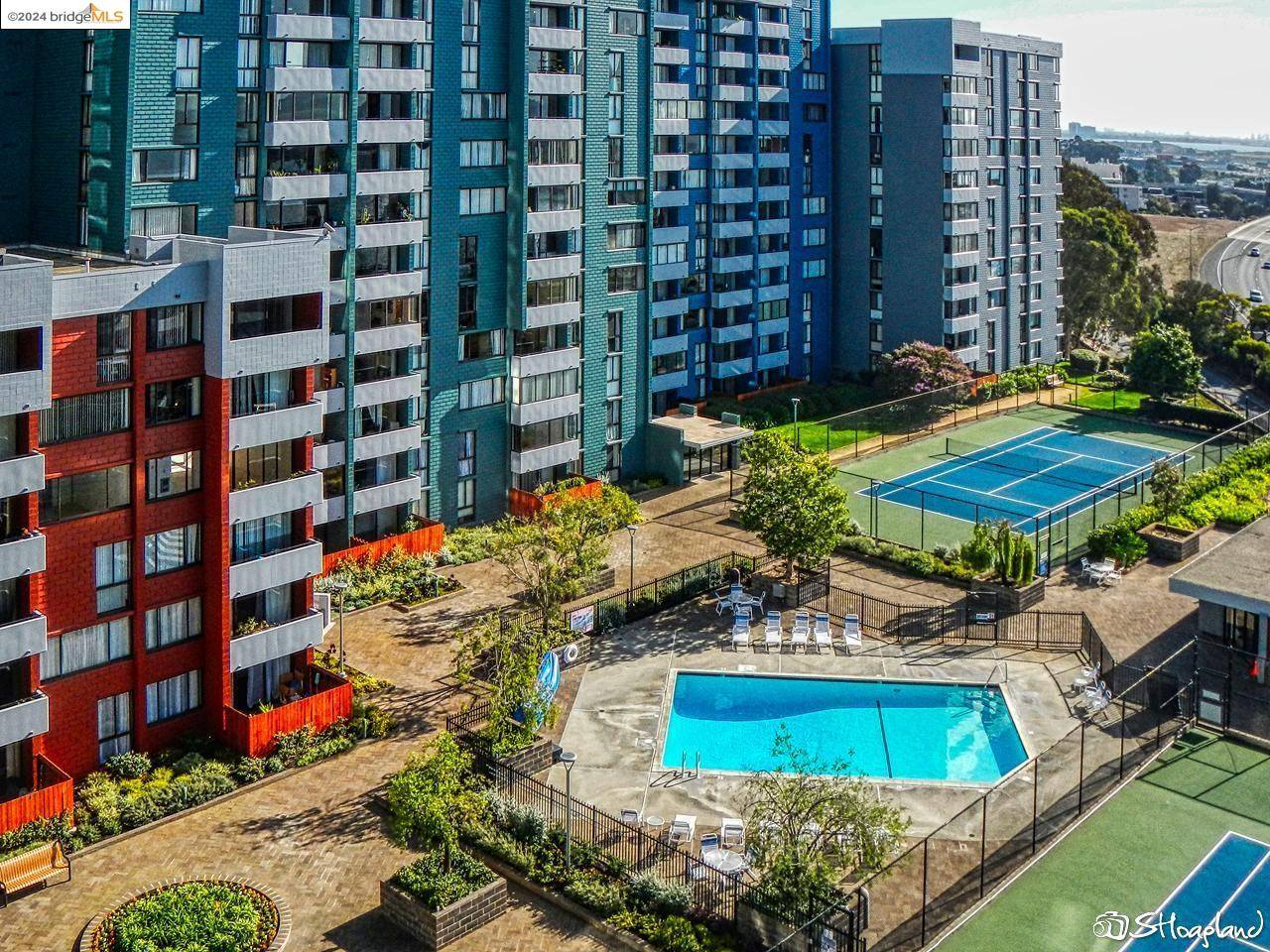 Albany, CA 94706-1006,555 Pierce St 438