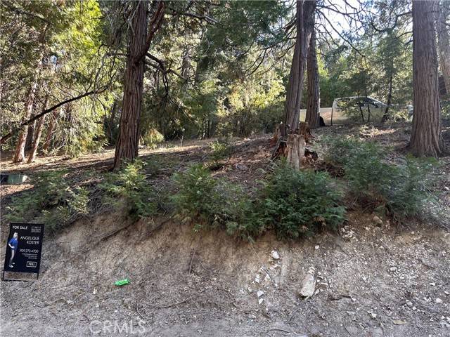 Cedar Glen, CA 92321,0 Alder TER