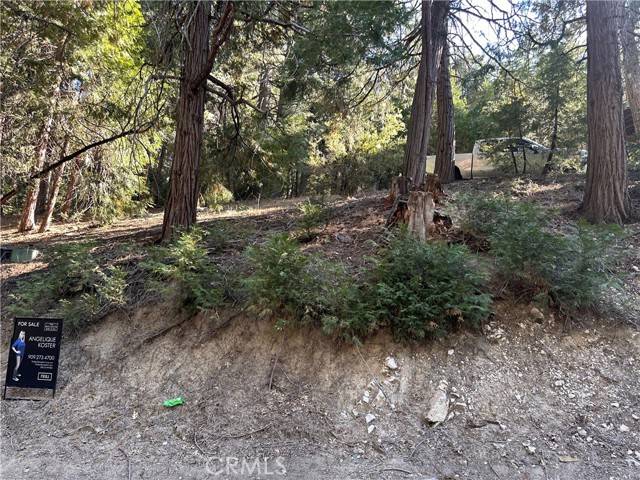 Cedar Glen, CA 92321,0 Alder TER