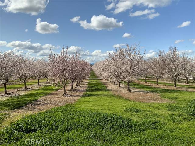 Corning, CA 96021,24895 New Jersey AVE