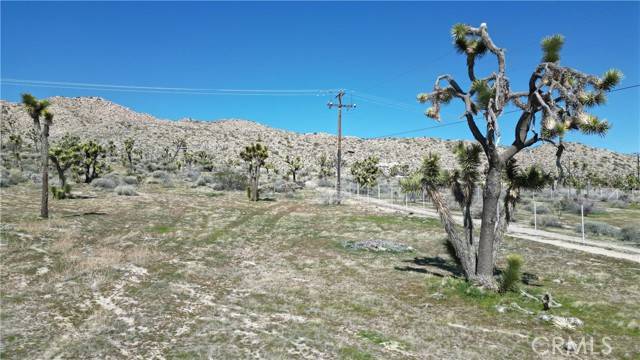 Yucca Valley, CA 92284,56414 Buena Vista DR