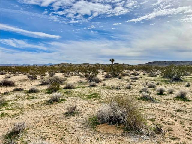 Joshua Tree, CA 92285,0 Willies WAY