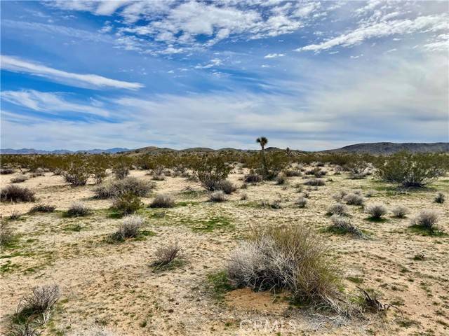 Joshua Tree, CA 92285,0 Willies WAY