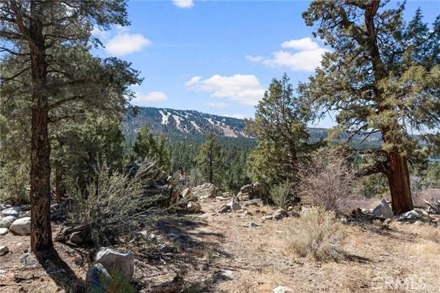 Big Bear Lake, CA 92315,42565 Pegasus WAY